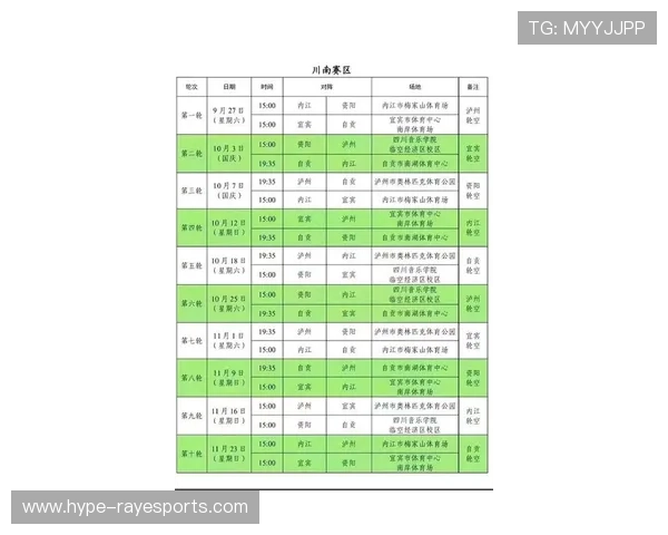 宜宾足球球星最新动态及阵容更新分析